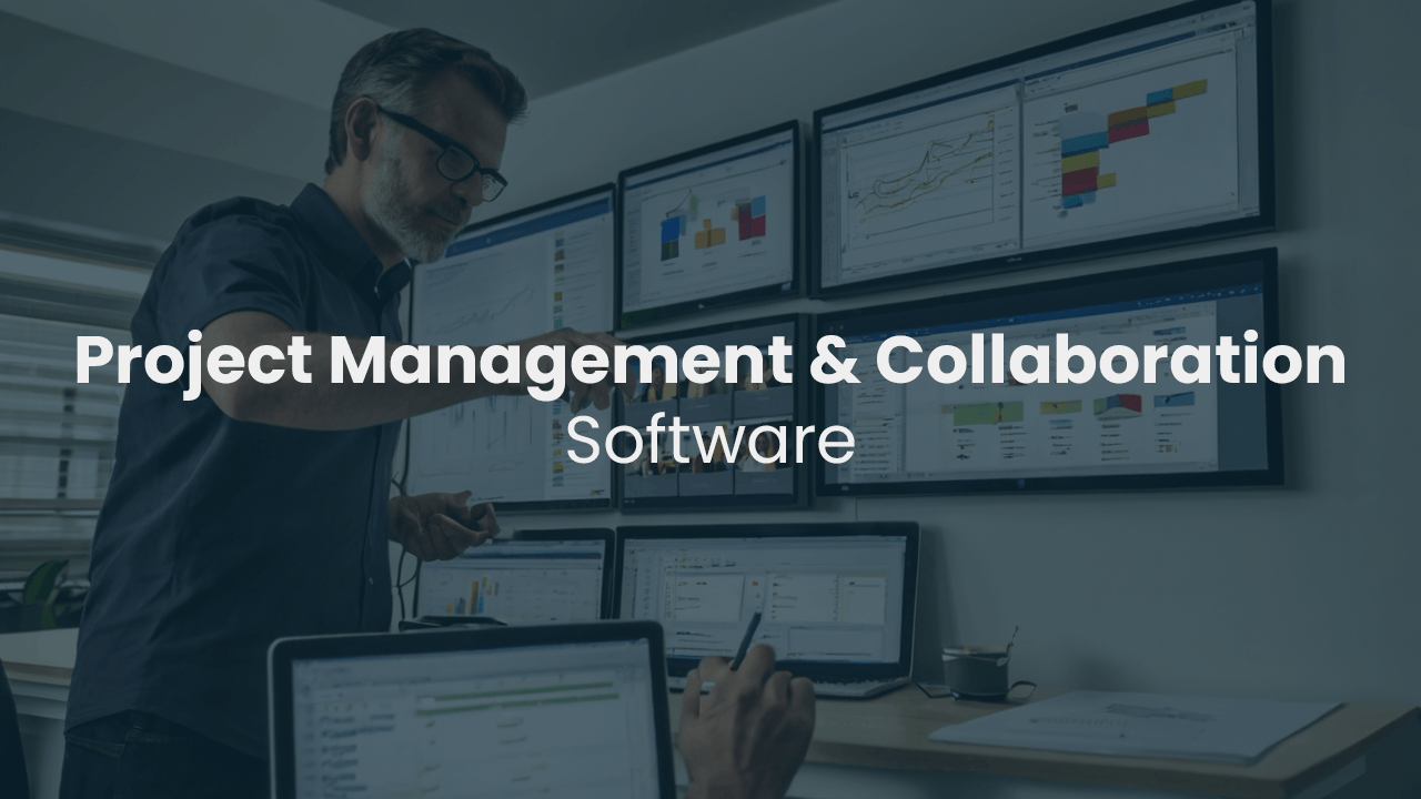 Dandalee Project Management and Collaboration Software